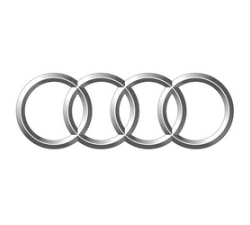 Audi 3D vāciņu uzlīmes
