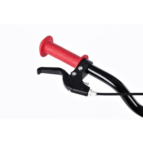 Bērnu divritenis SCORE Nick 20 blue - red