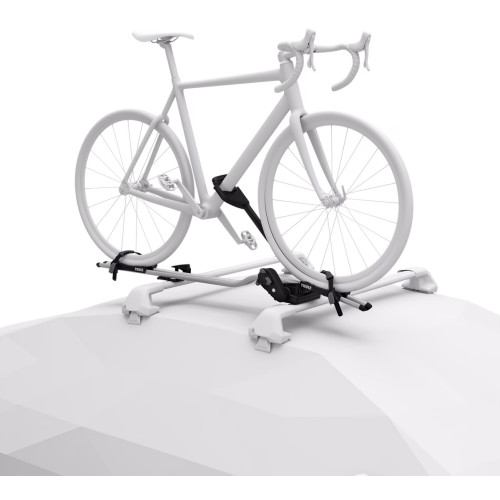 Bike carrier Thule ProRide 598 silver