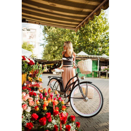 Bicycle Embassy Point Loma Classic ALU 26" deluxe 2022-3 speed Nexus