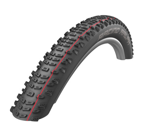 Riepa 29" Schwalbe Racing Ralph HS 490 Evo Fold 54-622 / 29x2.10 Addix Speed