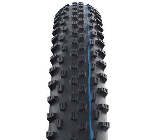Riepa 29" Schwalbe Racing Ray HS 489 Evo Fold TLE 57-622 / 29x2.25 Addix SpeedGrip