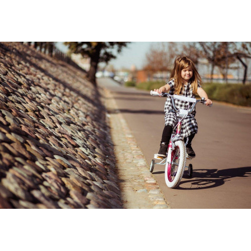 Bicycle Embassy Purple Kiddo 14" 2022