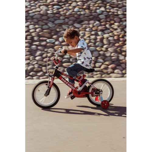 Bicycle Embassy Wild Kiddo 14" 2022