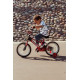 Bicycle Embassy Wild Kiddo 14" 2022