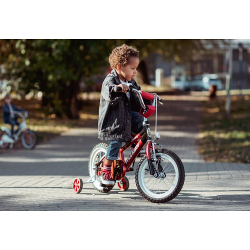 Bicycle Embassy Wild Kiddo 14" 2022