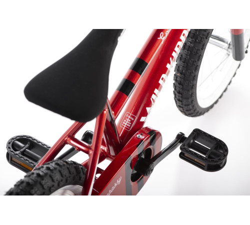 Bicycle Embassy Wild Kiddo 14" 2022