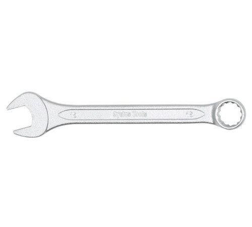 Tool Cyclus Tools Combination spanner 15mm (7205715)