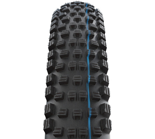 Tire 29" Schwalbe Wicked Will HS 614 Evo Fold TLE 62-622 / 29x2.40 Super Race Addix SpeedGrip Transparent
