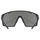 Glasses Uvex mtn perform black matt / mirror silver