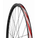 Rear bicycle wheel Fulcrum Racing 5 DB 2WF-R C20 AFS HH12/142-Campagnolo N3W