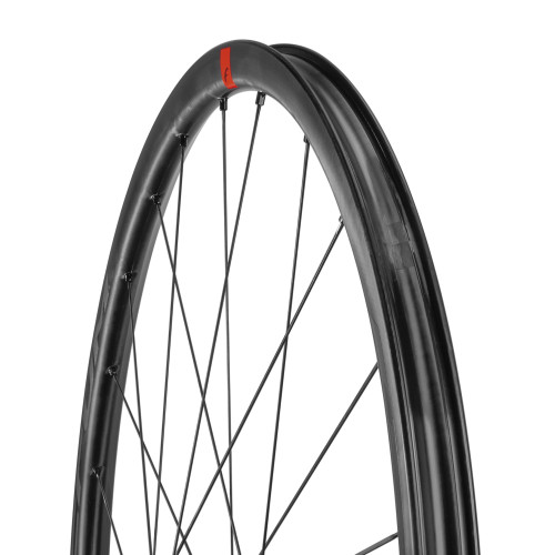 Rear bicycle wheel Fulcrum Speed 25 DB 2WF C21 AFS HH12/142 USB-Campagnolo N3W