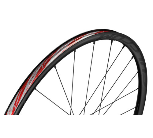 Rear bicycle wheel Fulcrum Rapid Red 3 2WF-R C24 AFS HH12/142 with DRP-Campagnolo N3W