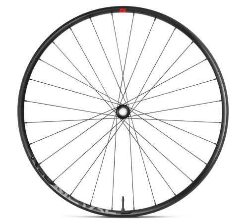 Front bicycle wheel Fulcrum Red Metal 5 29 2WF-R AFS Boost HH15/110