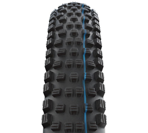 Tire 29" Schwalbe Wicked Will HS 614 Evo Fold TLE 65-622 / 29x2.60 Super Ground Addix SpeedGrip