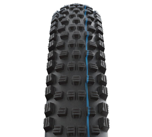 Tire 29" Schwalbe Wicked Will HS 614 Evo Fold TLE 65-622 / 29x2.60 Super Trail Addix SpeedGrip
