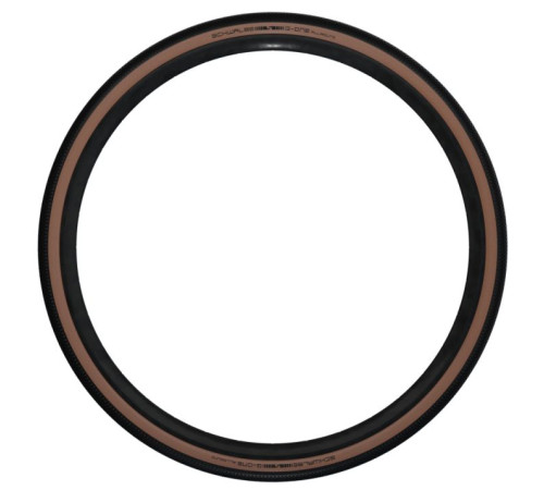 Tire 28" Schwalbe G-One Allround HS 473 Perf Fold 45-622 / 28x1.70, 700x45C Addix Bronze-Skin