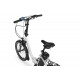 E-bike Ecobike Even 20" 2023 white -17Ah(LG)