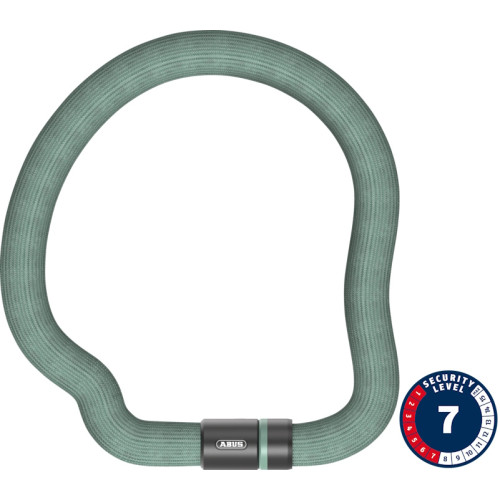 Lock Abus Goose 6206K/110 mint