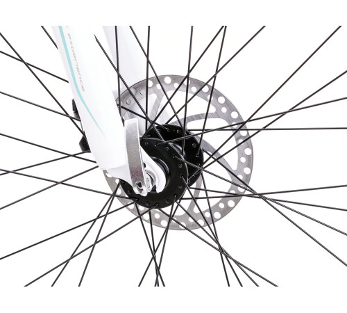 Bicycle Romet Jolene 6.2 2025 black-green-violet-17" / M