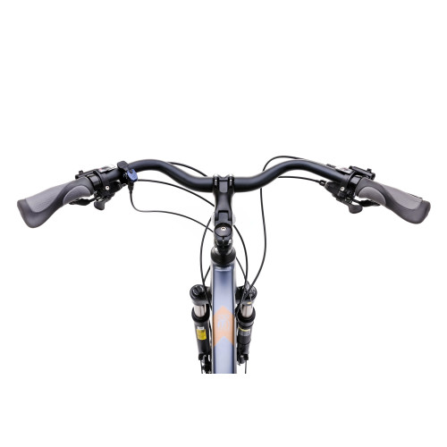 Bicycle Romet Wagant 10 2025 graphite-dark gold-19" / M