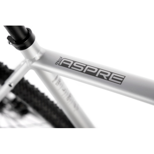 Bicycle Romet Aspre 1 2025 silver-red-58 cm / XL