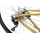 Bicycle Romet Aspre 2 2025 dark yellow-black-48 cm / S