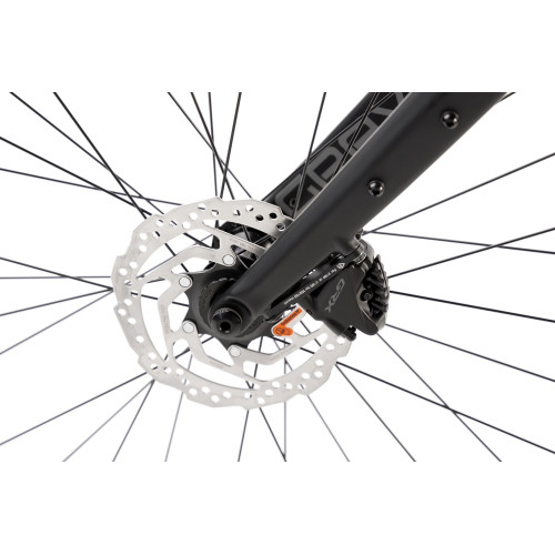 Bicycle Romet Aspre 2 2025 dark yellow-black-54 cm / L