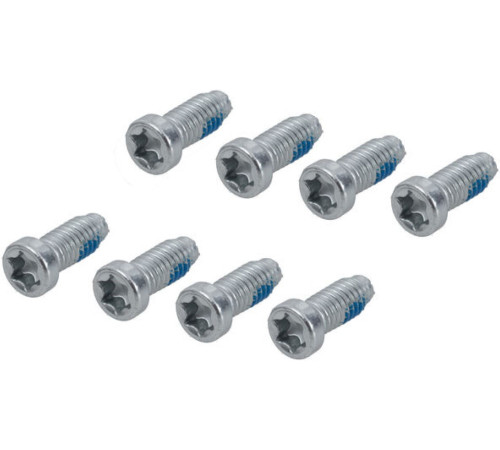 Crank bolt SRAM T20 for removable spider mounting (8 pcs.)
