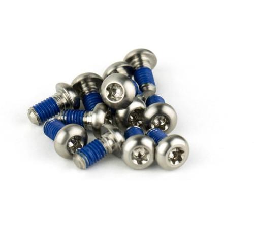 Bremžu diska stiprinājuma skrūves SRAM titanium T25 silver (12 gab.)