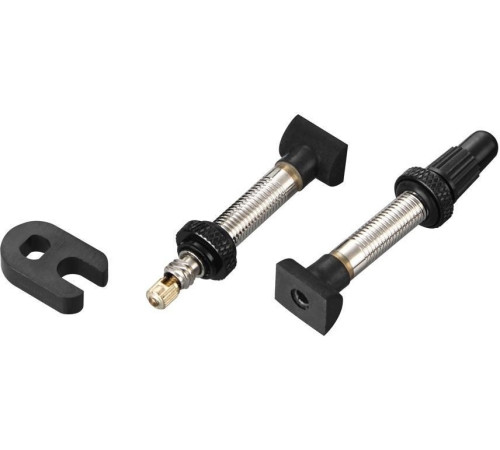 Tubeless valve SRAM MTB removable core with tool