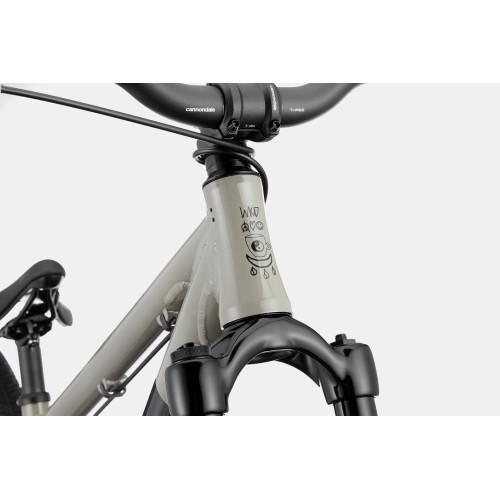 Bicycle Cannondale Dave stealth grey