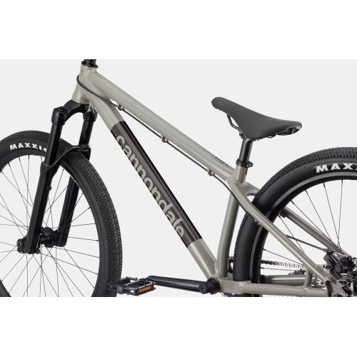 Bicycle Cannondale Dave stealth grey