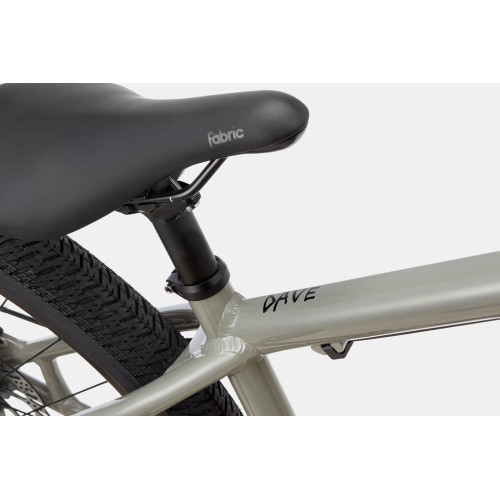 Bicycle Cannondale Dave stealth grey