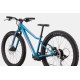 Bicycle Cannondale Kids Trail Plus 24" deep teal