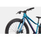 Bicycle Cannondale Kids Trail Plus 24" deep teal