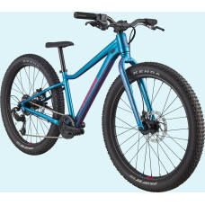Velosipēds Cannondale Kids Trail Plus 24" deep teal