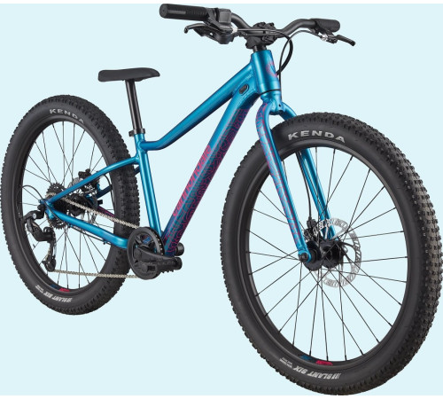 Bicycle Cannondale Kids Trail Plus 24" deep teal