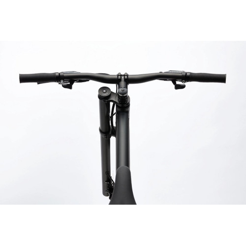 Bicycle Cannondale Bad Boy 2 matte black-49 cm / M
