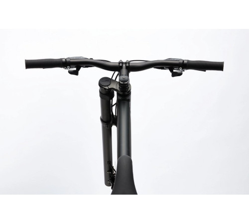 Bicycle Cannondale Bad Boy 3 matte black-49 cm / M
