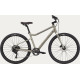 Velosipēds Cannondale Treadwell 2 Ltd raw-39 cm / S