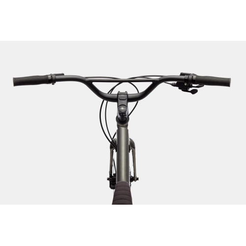 Velosipēds Cannondale Treadwell 2 Ltd raw-39 cm / S