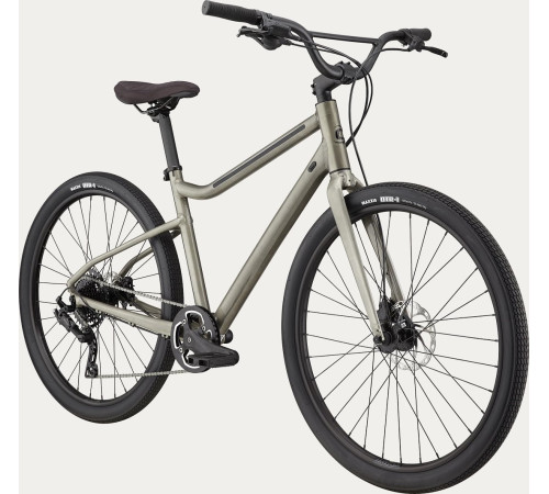 Velosipēds Cannondale Treadwell 2 Ltd raw-39 cm / S