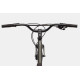 Bicycle Cannondale Treadwell 2 Remixte Ltd raw-39 cm / S