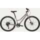 Bicycle Cannondale Treadwell 2 Remixte Ltd raw-39 cm / S