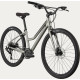 Bicycle Cannondale Treadwell 2 Remixte Ltd raw-45 cm / L