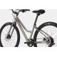 Bicycle Cannondale Treadwell 2 Remixte Ltd raw-45 cm / L