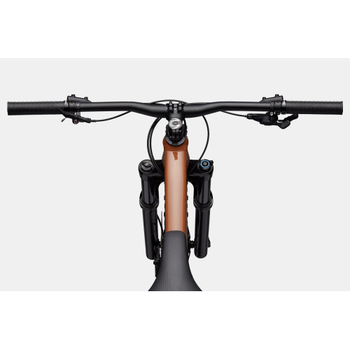 Bicycle Cannondale Habit 29" HT 1 cinnamon-48 cm / XL