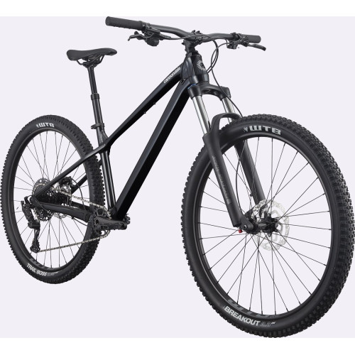 Bicycle Cannondale Habit 29" HT 3 black pearl-40 cm / M