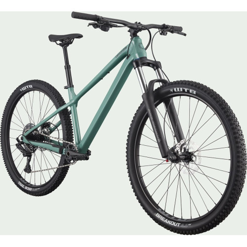 Bicycle Cannondale Habit 29" HT 3 jade-48 cm / XL